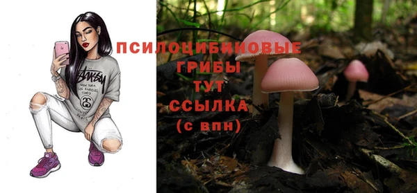ALPHA PVP Верхнеуральск